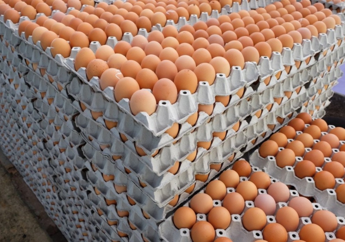 Picture of 700GM FRESH EGGS