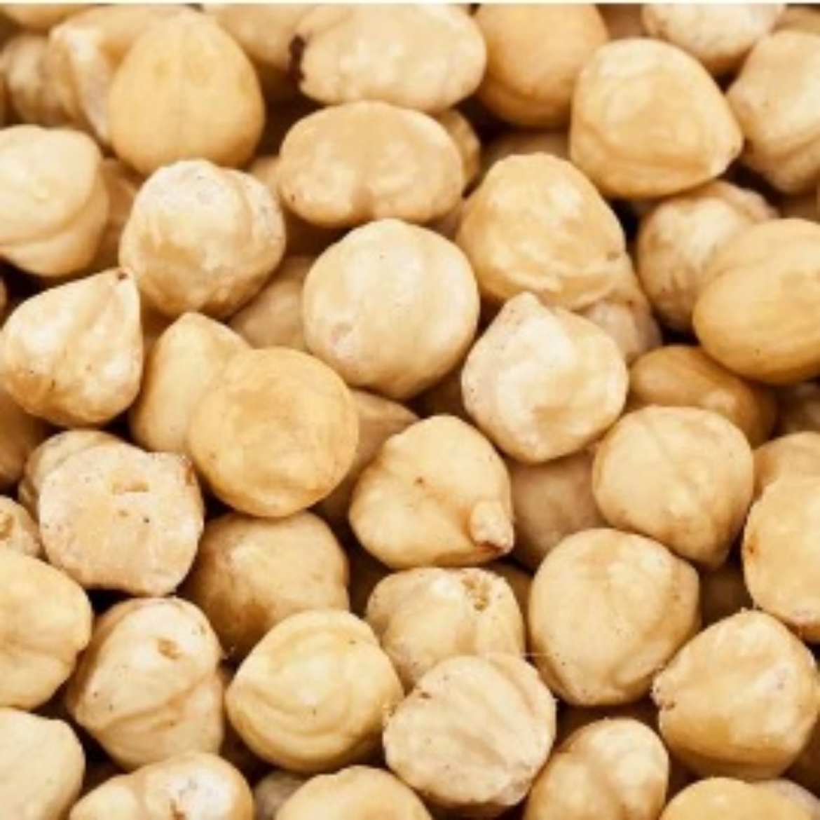 Picture of 12.5KG HAZELNUTS WHOLE BLANCHED (H) (K)