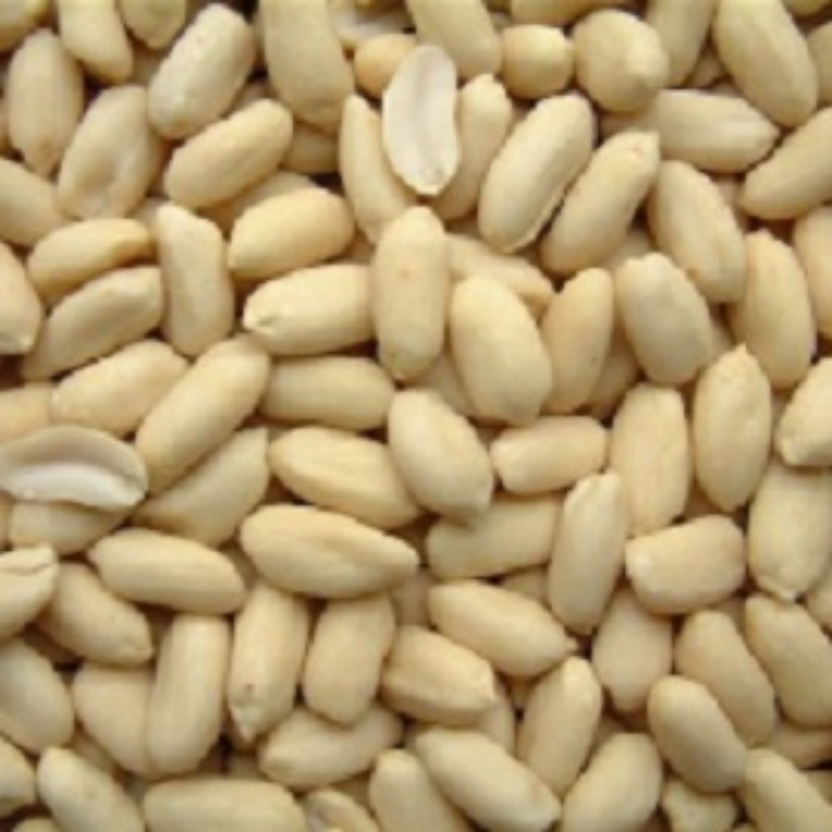 Picture of 5KG PEANUTS WHITE RAW