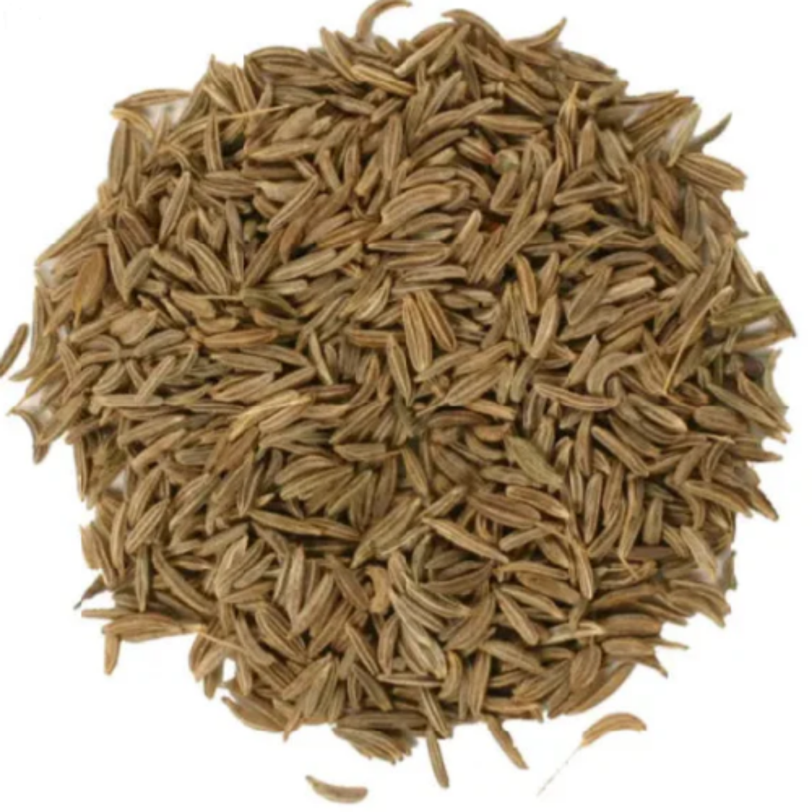 Picture of 5KG CARAWAY SEEDS (H)